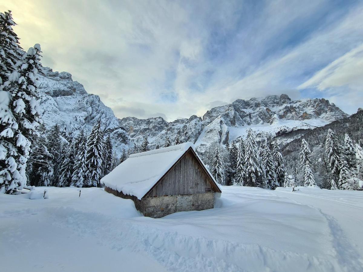 Chalet Camporosso Rosenstein Due Exterior foto